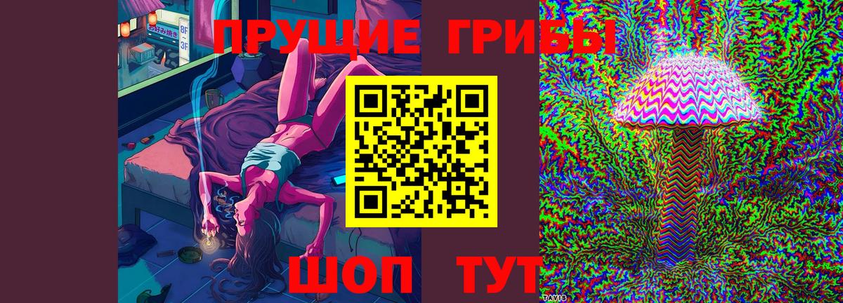 Галлюциногенные грибы прущие грибы  Псилоцибиновые грибы Magic Shrooms  Зеленодольск  Вход с VPN 